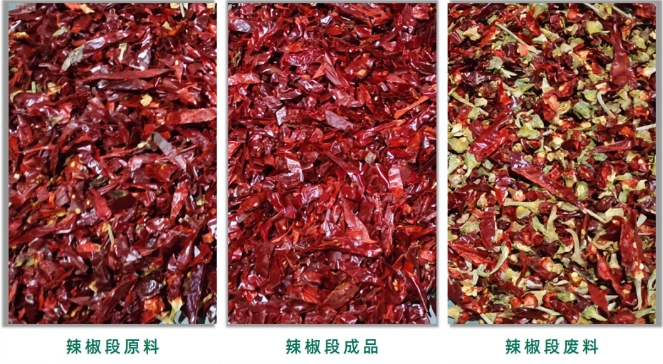 20240809144509_21297