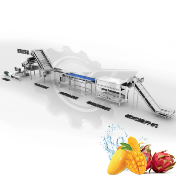 Planta de procesamiento de jugo de fruta fresca a peque&ntilde;a escala