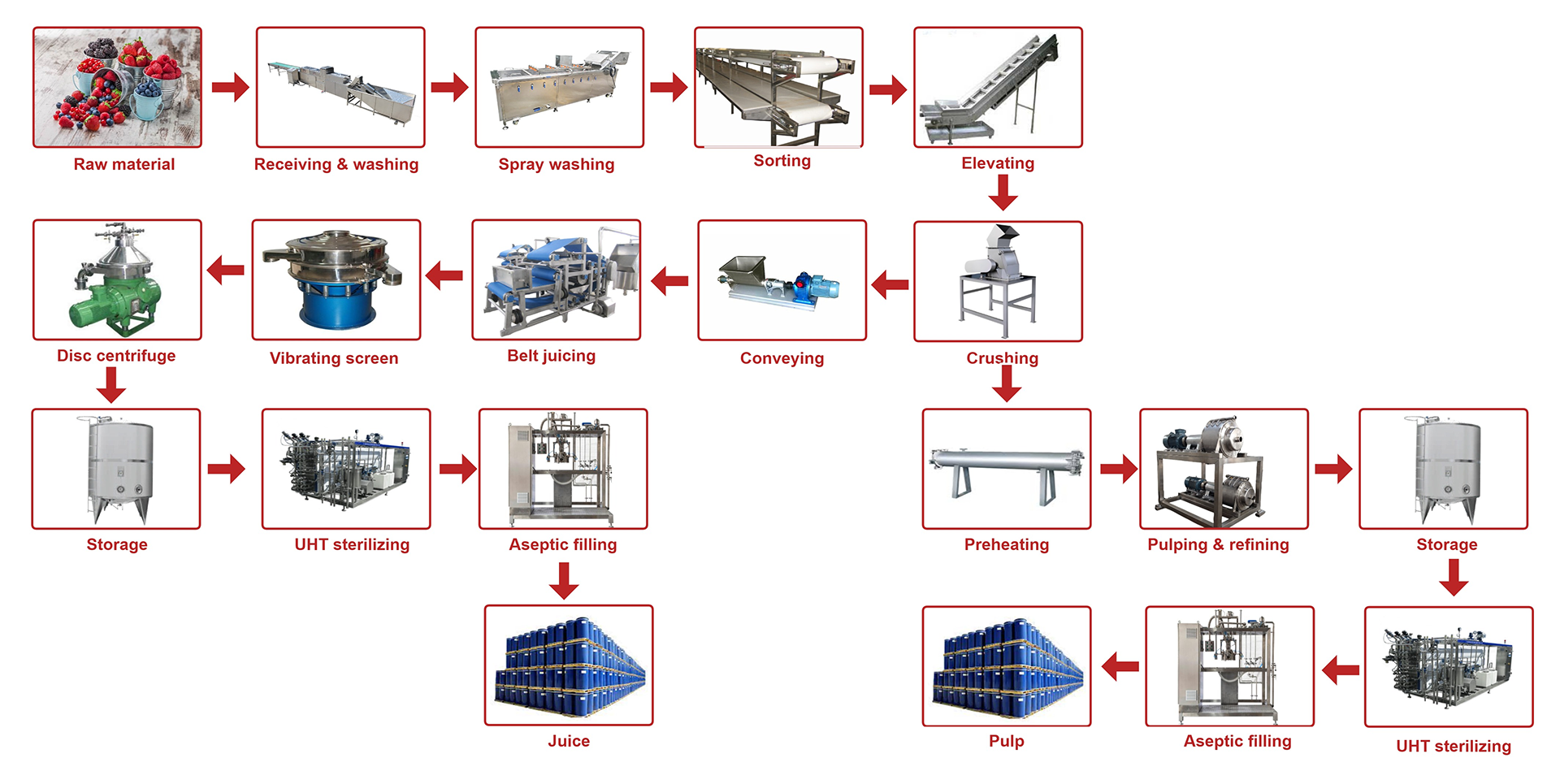 L&iacute;nea de procesamiento de fresas, ar&aacute;ndanos y moras YGT