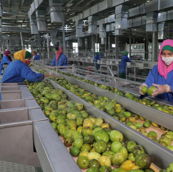 Planta de procesamiento de jugo de fruta fresca