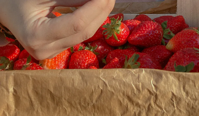 Strawberries Processing.png