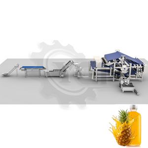 Línea de producción de piña